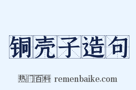 铜壳子造句是什么意思的图片